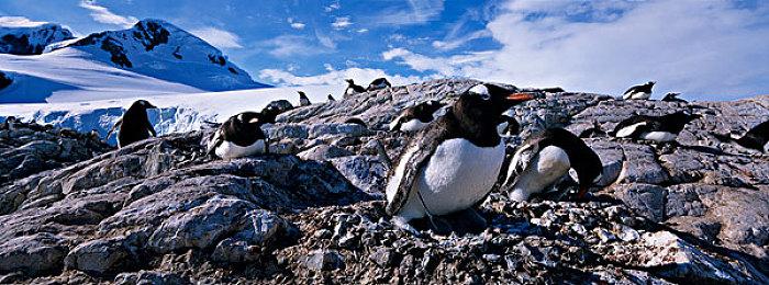 索尼宣布截至去年12月 PS5销量突破3000 万