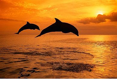 横版动作游戏《流放领主》2＆14登陆各大平台